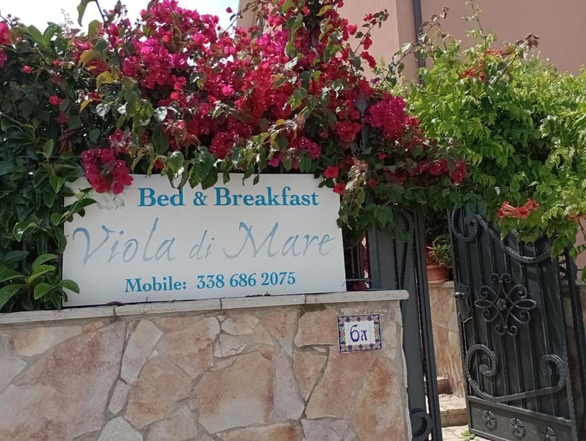 Viola Di Mare Rooms And Parking Termoli Eksteriør bilde